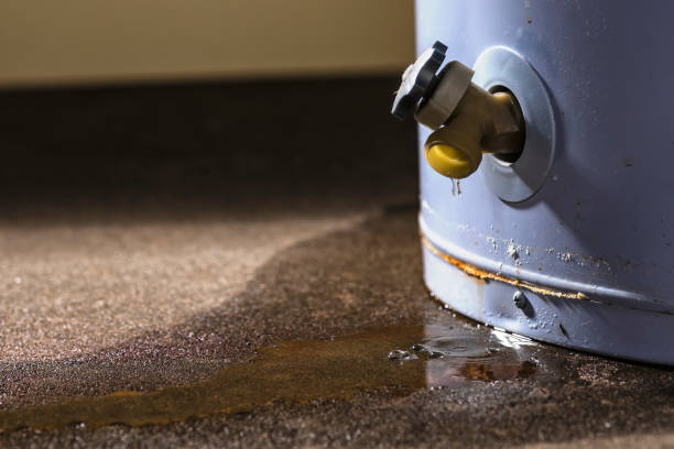 Best Water damage contractors near me  in Lynn Haven, FL