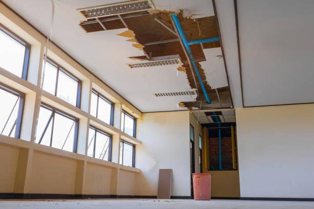 Best Water damage cleanup near me  in Lynn Haven, FL