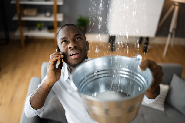 Best Commercial water damage restoration  in Lynn Haven, FL