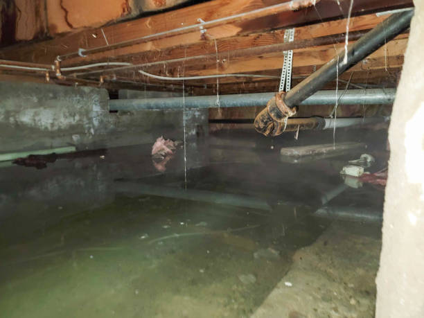 Best 24/7 water damage repair  in Lynn Haven, FL