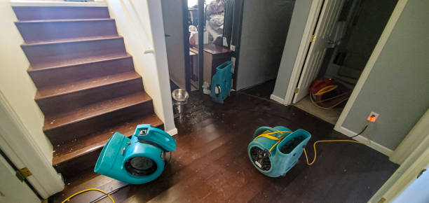 Best Basement water damage restoration  in Lynn Haven, FL