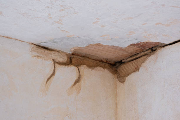 Best Flooded house restoration  in Lynn Haven, FL