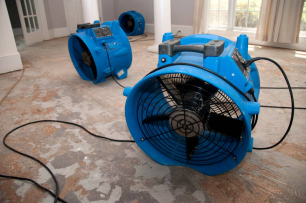 Best Fire Damage Restoration  in Lynn Haven, FL