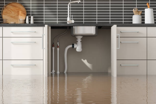 Best Water damage restoration near me  in Lynn Haven, FL