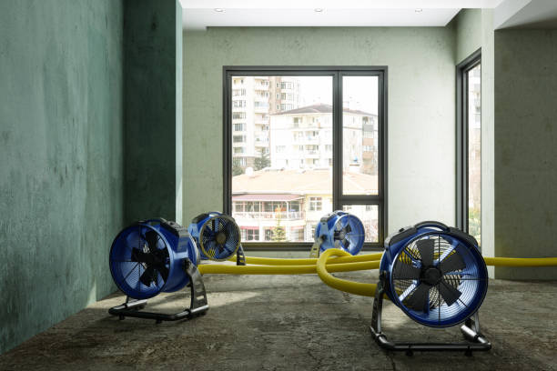 Best Water damage restoration near me  in Lynn Haven, FL